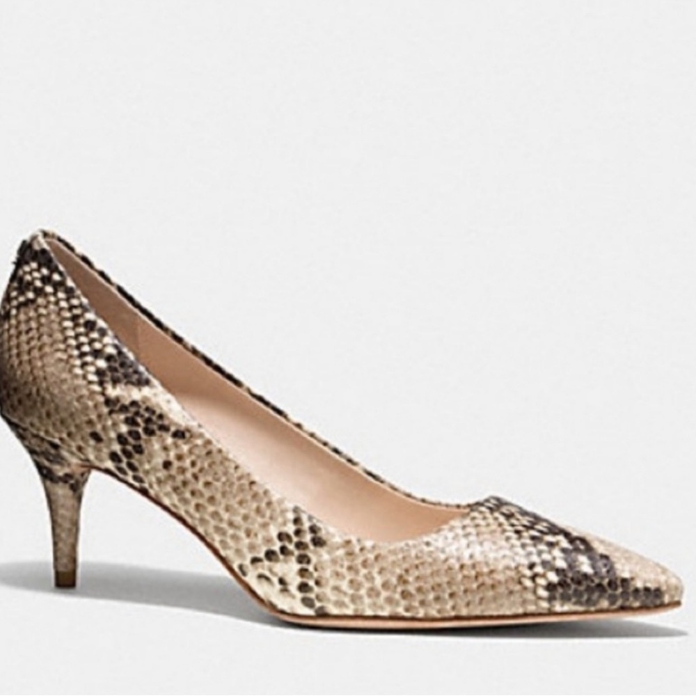 Coach Grand Classic Snake Python Embossed Roccia … - image 1